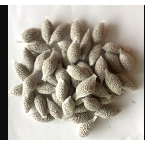 [Giá hủy diệt] 1 túi lưới phân dơi cung cấp dưởng chất cho cây phát triên từ nhỏ đến lớn chỉ 1 ngàn đồng sài 6 tháng