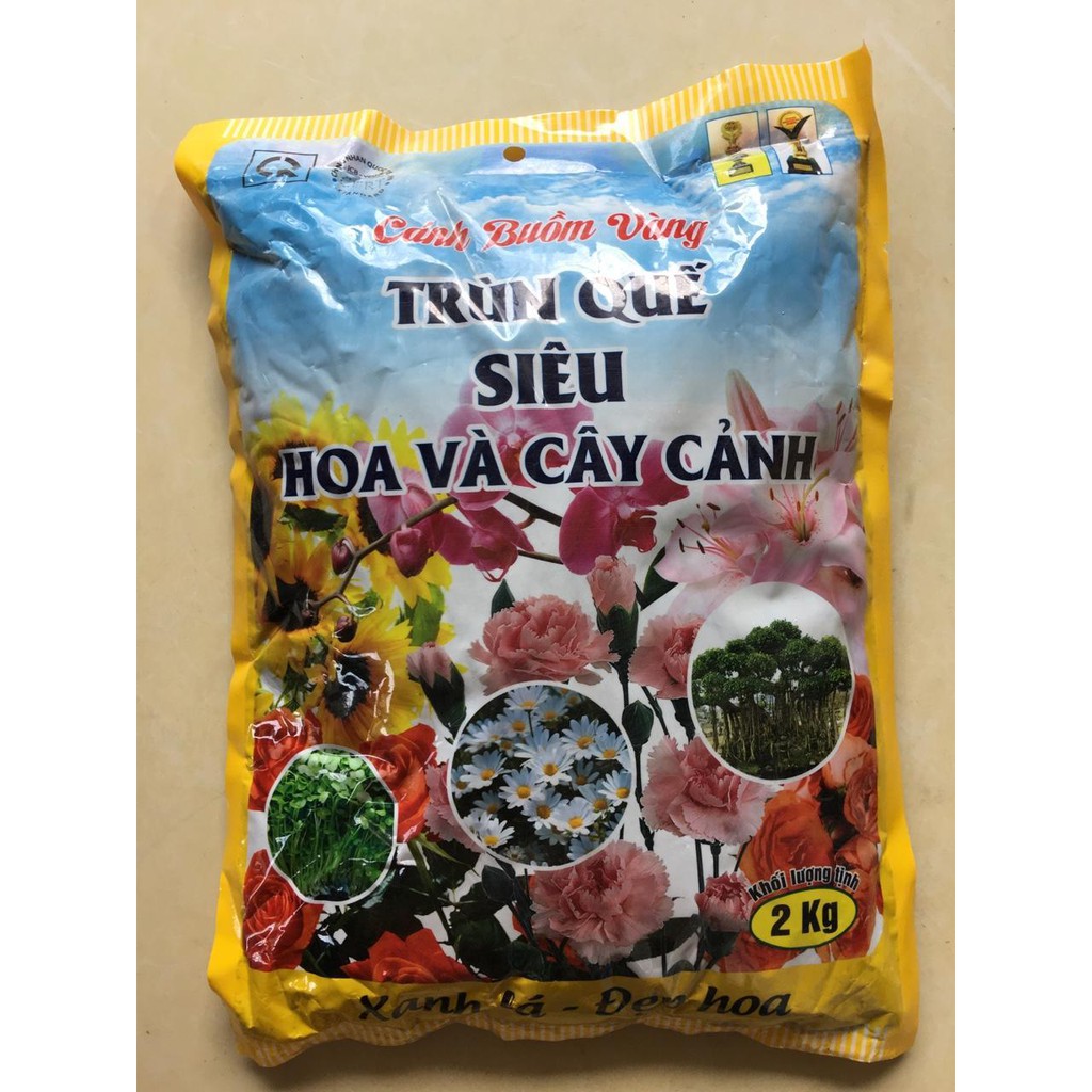 Trùn quế siêu hoa và cây cảnh 2kg