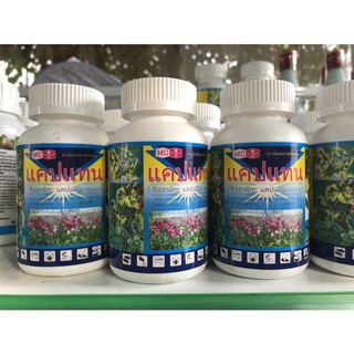 Thuốc trị thối nhũn Thái Lan Captan chai 50gr
