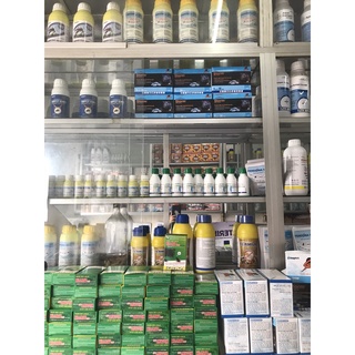 KILLRAT thuốc diệt chuột 40gram
