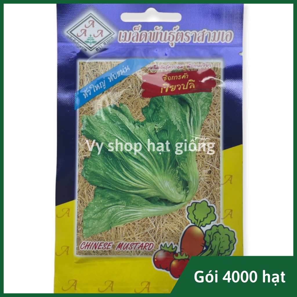 Hạt giống cải bẹ dưa Thái Lan gói 4000 hạt