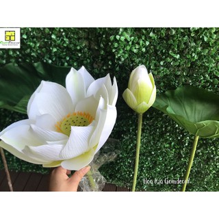 Hoa sen hoa lụa hoa sen giả