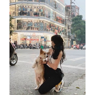 Áo thun hai dây croptop ôm
