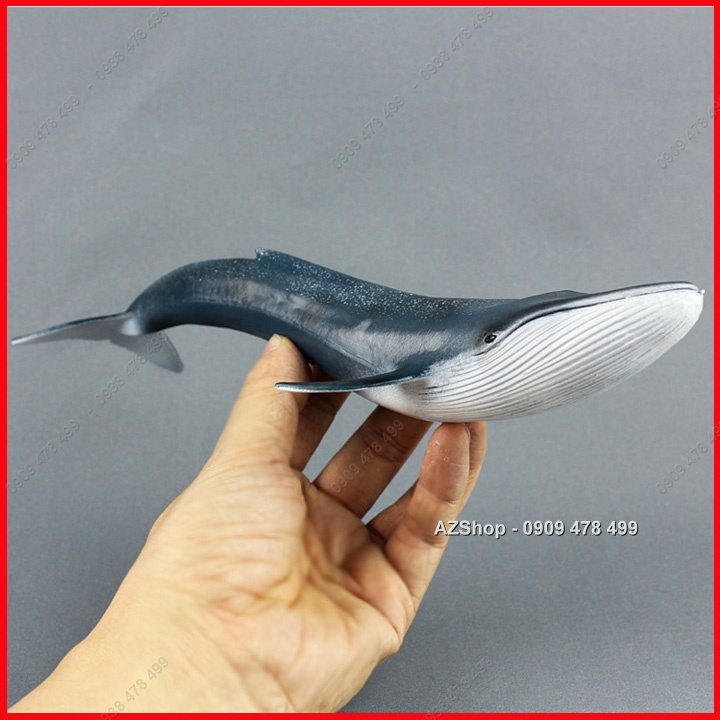 Mô Hình Cá Voi Xanh Dài 27cm - Thế Giới Động Vật - 7673.5