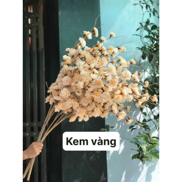 Cành đào râu cao cấp bông to đẹp, dài 1m trang trí lọ hoa, cổng cưới