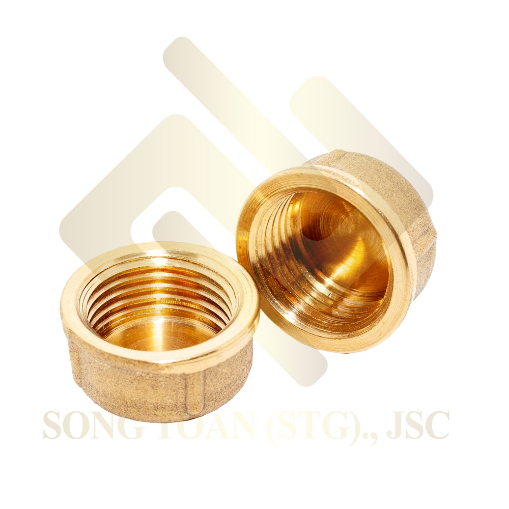 [BỊT REN 21 &amp; 27] Nút đầu bịt ren trong ngặn chặn dòng chảy &amp; khí nén ren BSP - Đồng đúc (Brass pipe plug cap female)