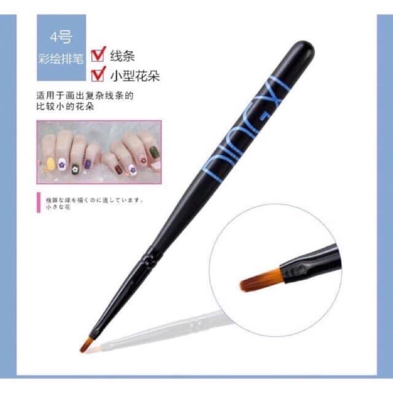 Cọ vẽ hoa Cúc, vẽ siêu mượt nét