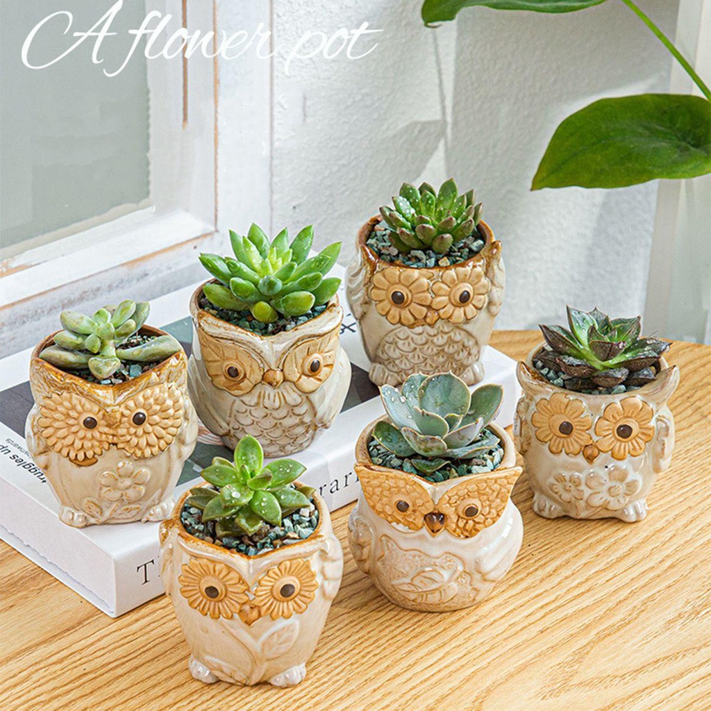 YIYU Chậu Cây Bằng Gốm Sứ Kiểu Dáng Dễ Thương Xinh Xắn