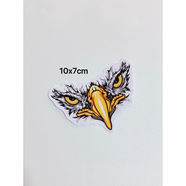 Decal tem hình mỏ chim ưng mắt giận dữ, tem kháng nước