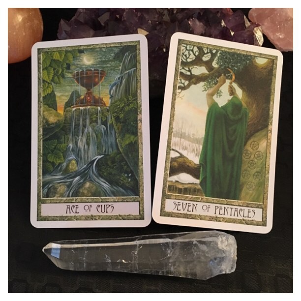 Bài DruidCraft Tarot  Kit Edition