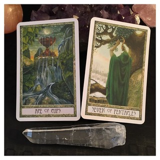 Bộ Bài Druid Craft Tarot (Guu Tarot Shop)
