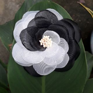 Combo Hoa hồng cài áo handmade.