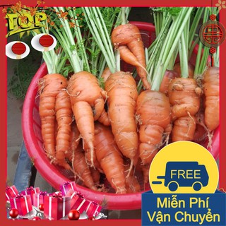 Combo 2 Gói Hạt Giống Cà Rốt