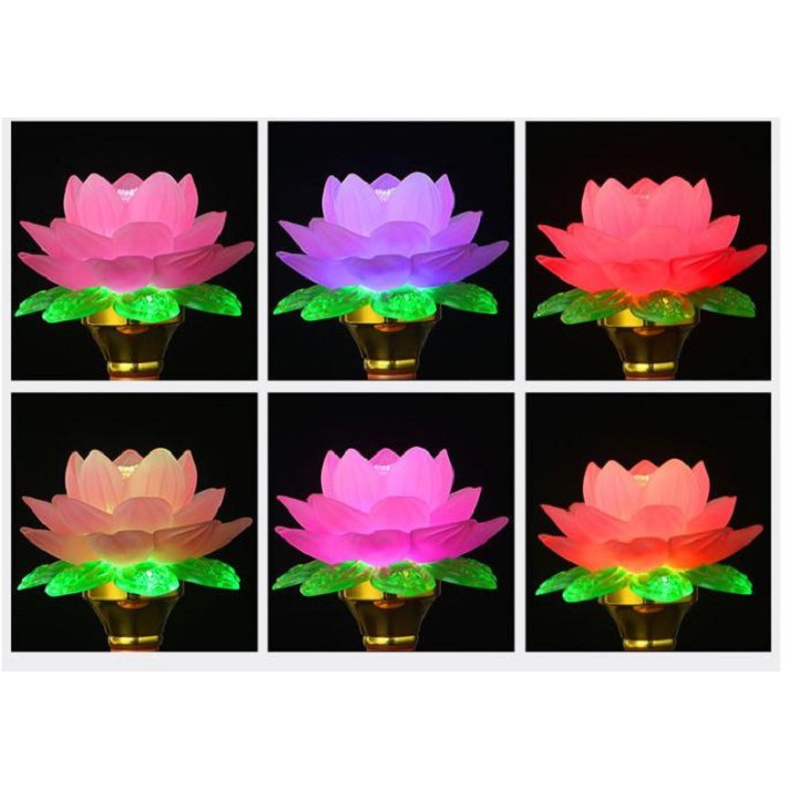 Cặp đèn thờ hoa sen đổi màu cao cấp
