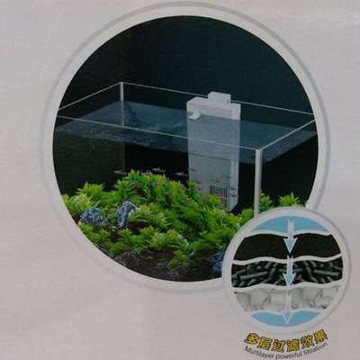 Bộ lọc bể cá cài thành bể Jeneca