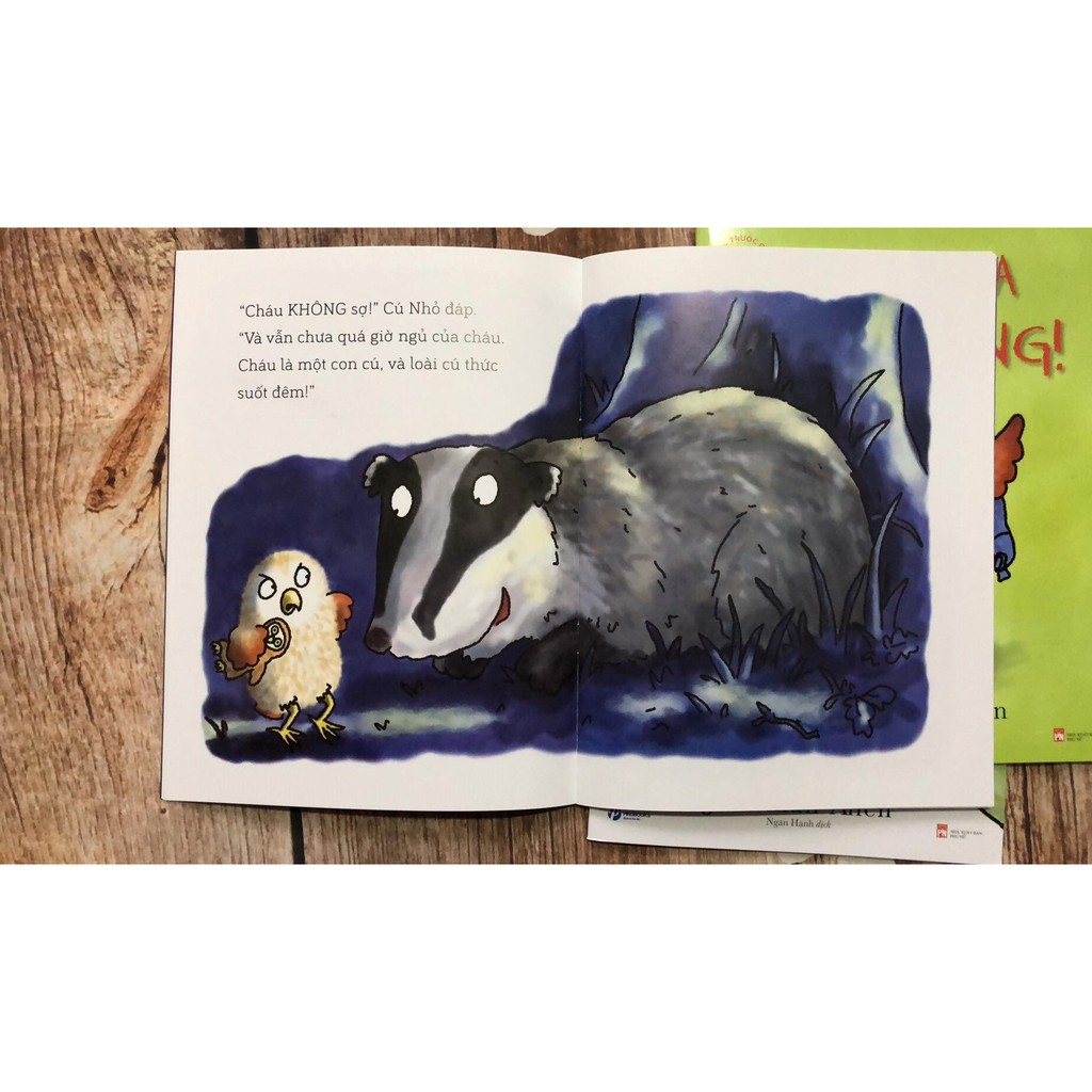 Sách - Combo Truyện Đọc Trước Giờ Đi Ngủ BABY OWL 0-6 tuổi (bộ 5 cuốn)