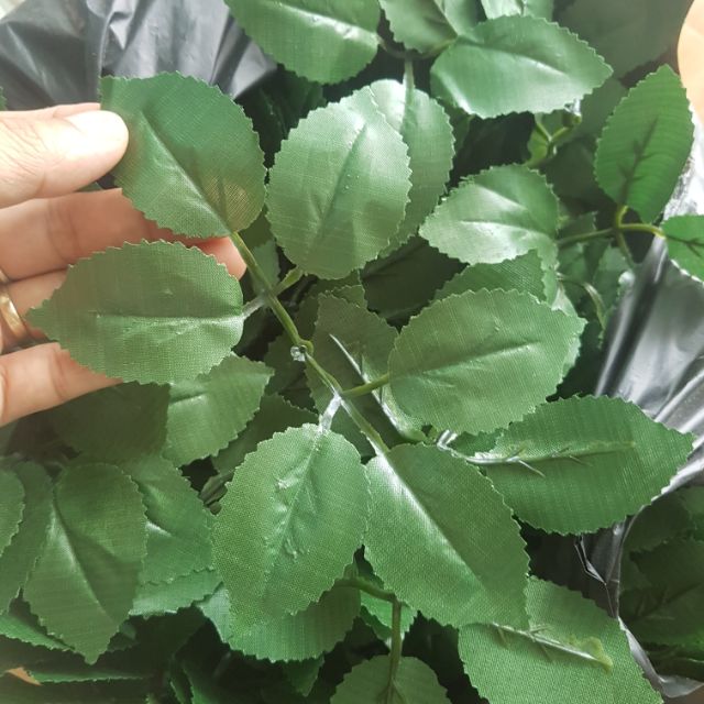 Lá hồng 260k/kg