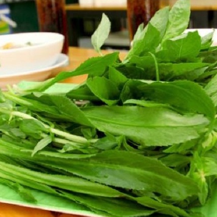 Hạt giống rau ngò gai / ngò tây - NGUYÊN GÓI hàng Công ty tuyển chọn tỷ lệ nảy mầm cao