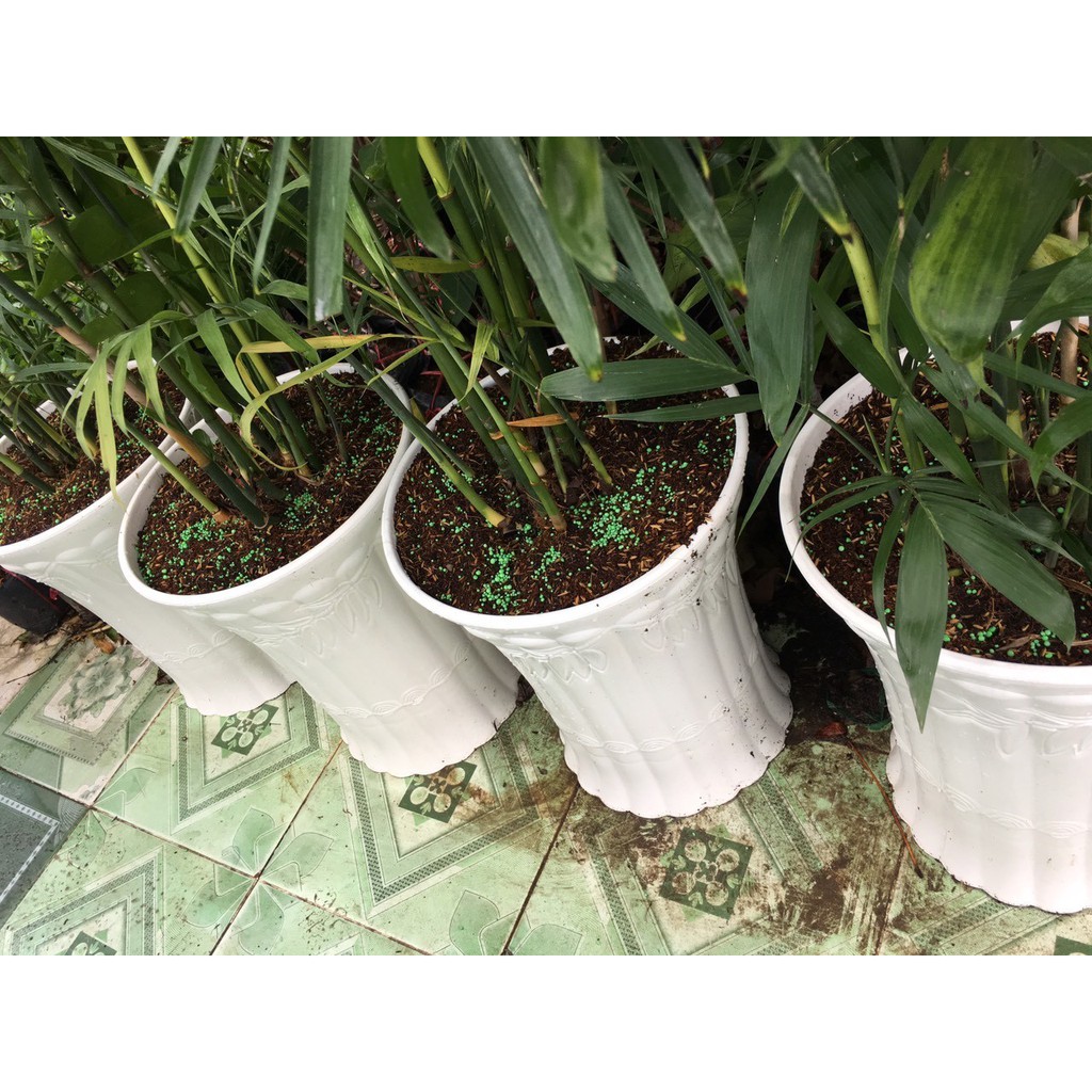 RYNAN FLOWERMATE 230 hũ 150gr - NPK 23-08-08+TE dùng cho cây ở mọi giai đoạn, giúp cây ra chồi mới tốt lá xanh mướt