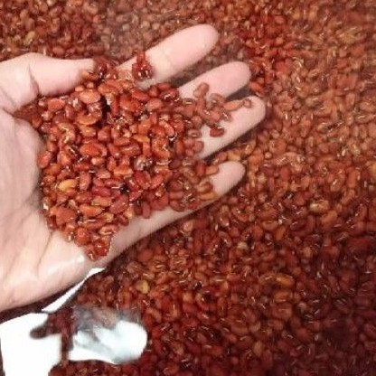 Bột đậu đỏ nguyên chất 100g