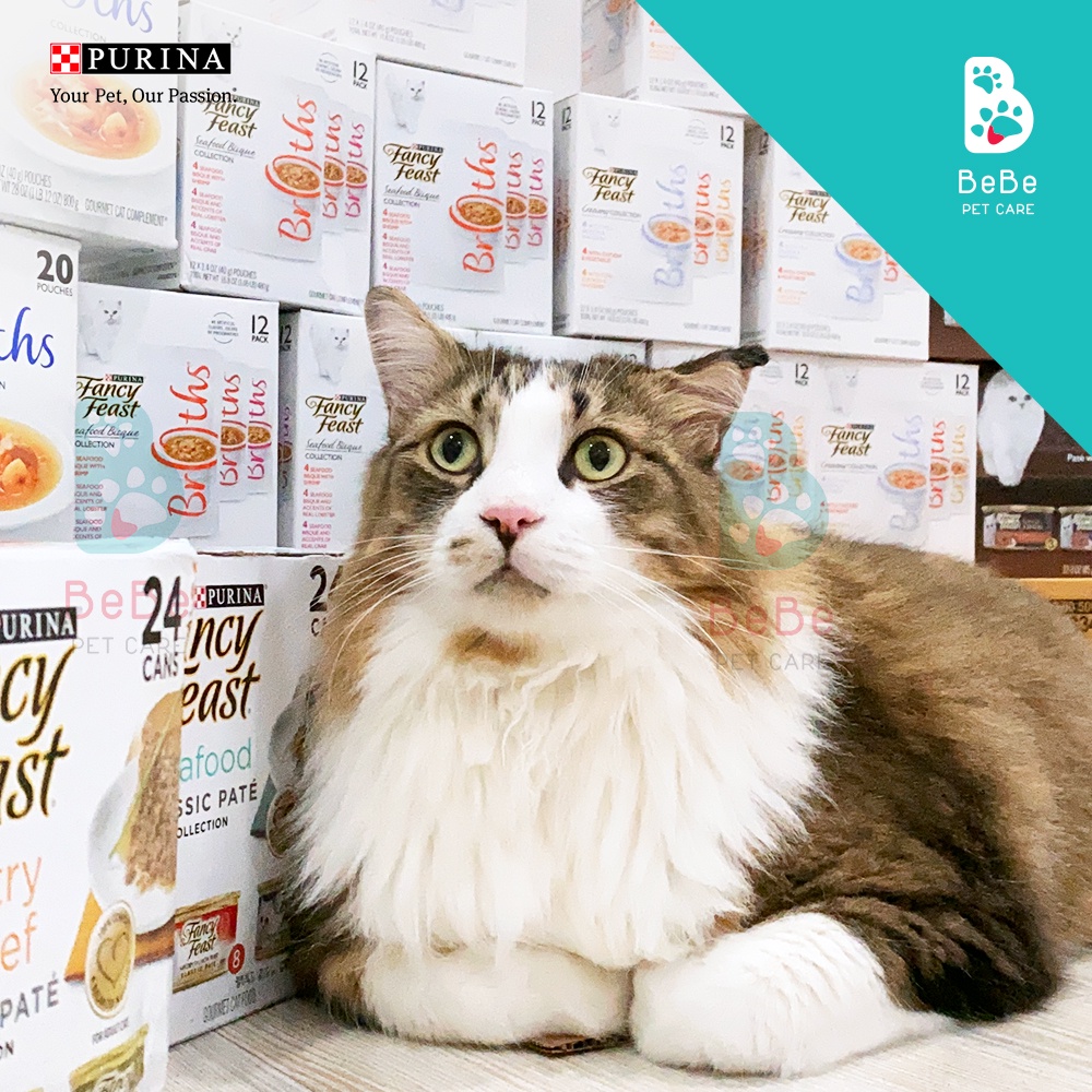 Pate FANCY FEAST - Nhãn Hiệu Pate Cho Mèo Được Yêu Thích Trên Toàn Thế Giới - Nhập Khẩu Từ Mỹ