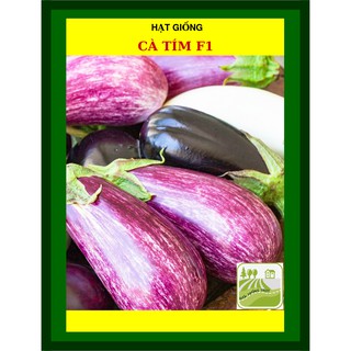 [Trang Nông] Gói 1gram Hạt Giống Cà Tím