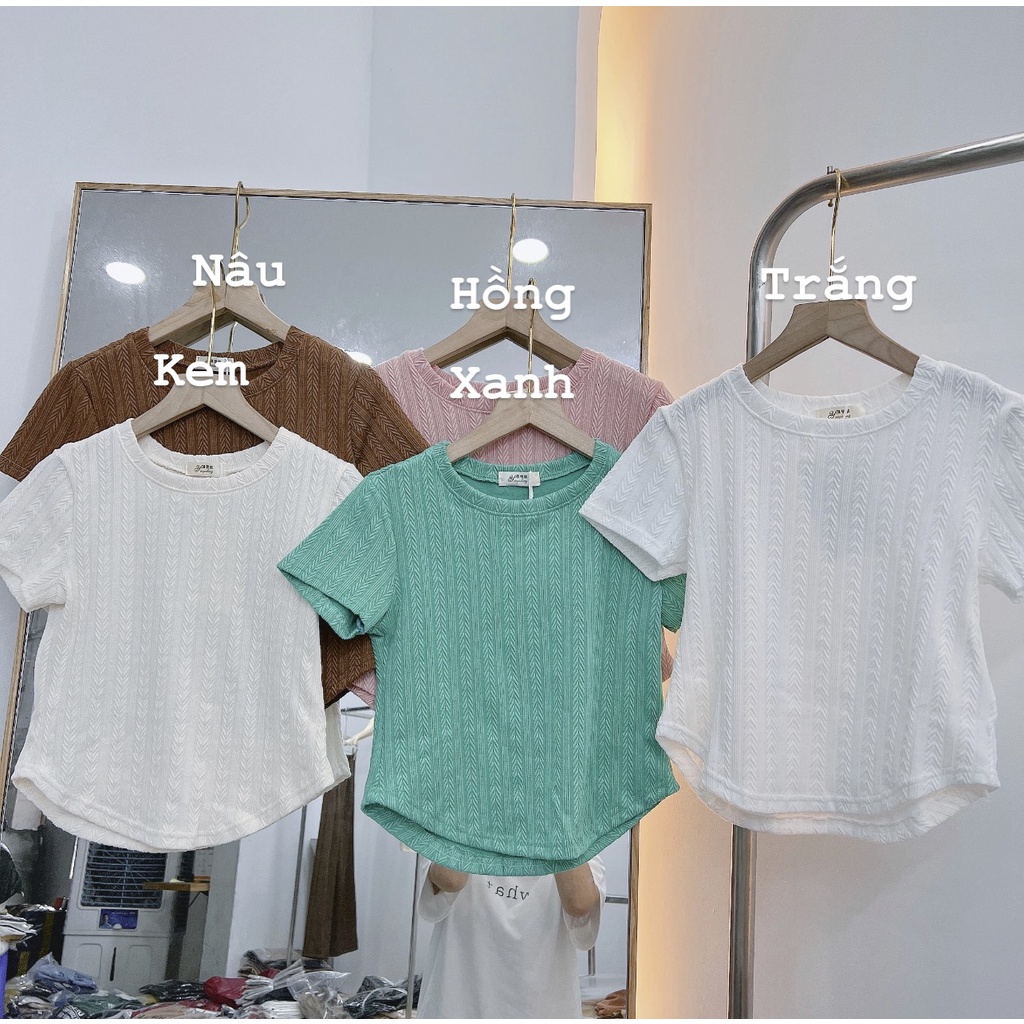 [Ảnh thật/Video] Áo thun len gân vạt bầu - 29feb.closet - A61