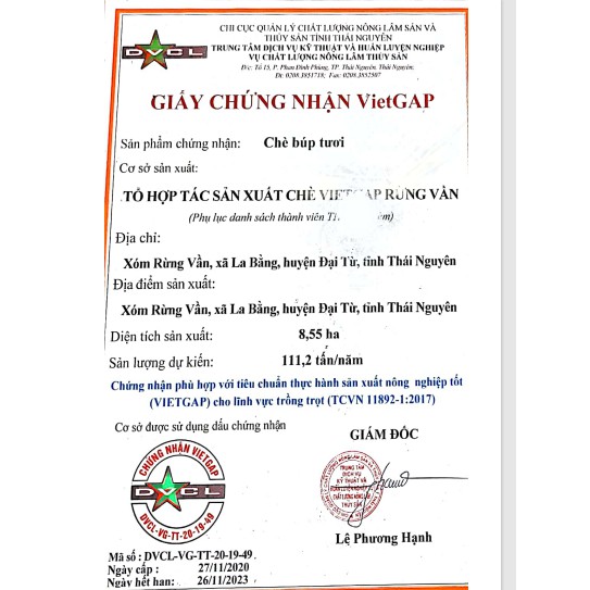 Chè Thái Nguyên chính hãng -Trà La Bằng - Trà tôm nõn - Đặc sản Trà Thái Nguyên cv