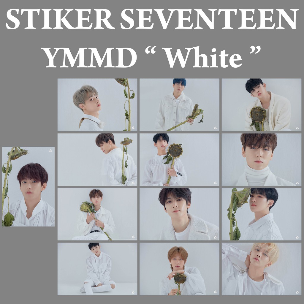 Sticker Nhóm Nhạc Seventeen You Made My Dawn