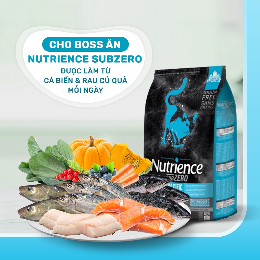 [DINH DƯỠNG CAO] BAO 500G HẠT CHO MÈO NUTRIENCE SUBZERO CAT VỊ CÁ BIỂN - HẠT CHO MÈO CAO CẤP