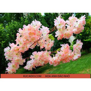 Hoa Giả Hoa Lụa Hoa Anh Đào