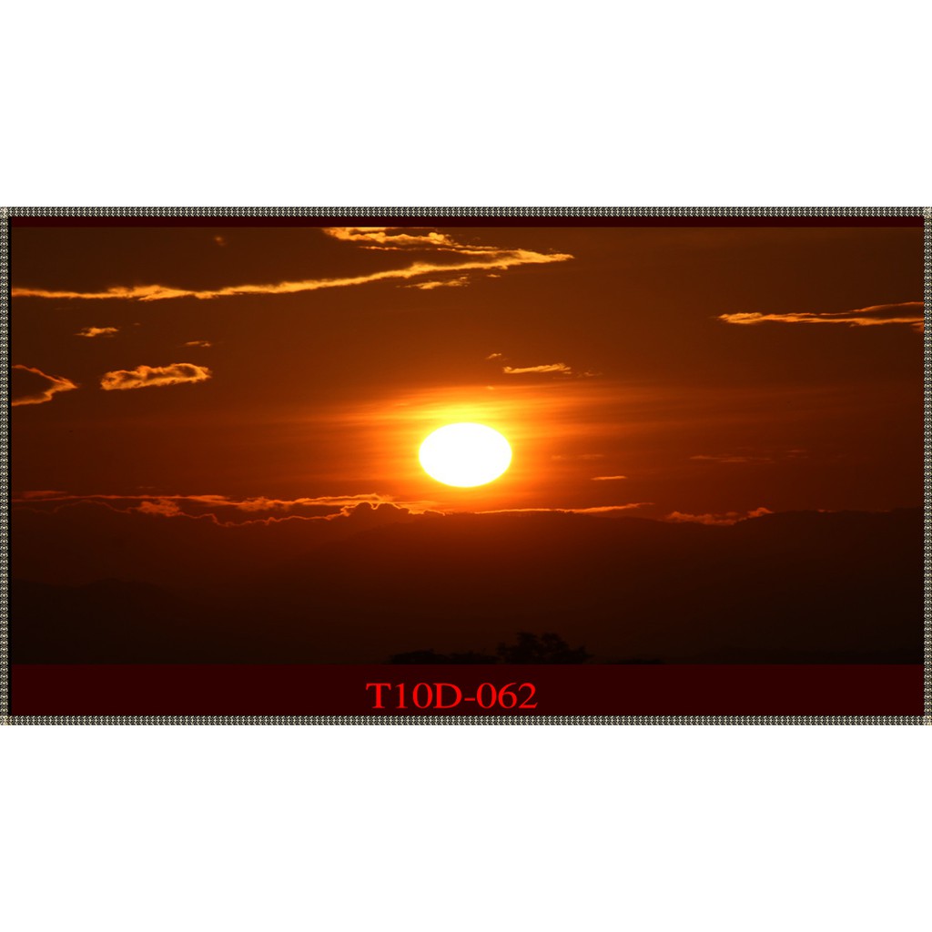 Tranh 3D bể cá mã T10D-062 kt (60,80,90,100,1m2,1m5,1m6)