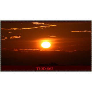 Tranh 3D bể cá mã T10D-062 kt (60,80,90,100,1m2,1m5,1m6)