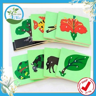 Ghép hình sinh học montessori cho trẻ mầm non (Cùng con)