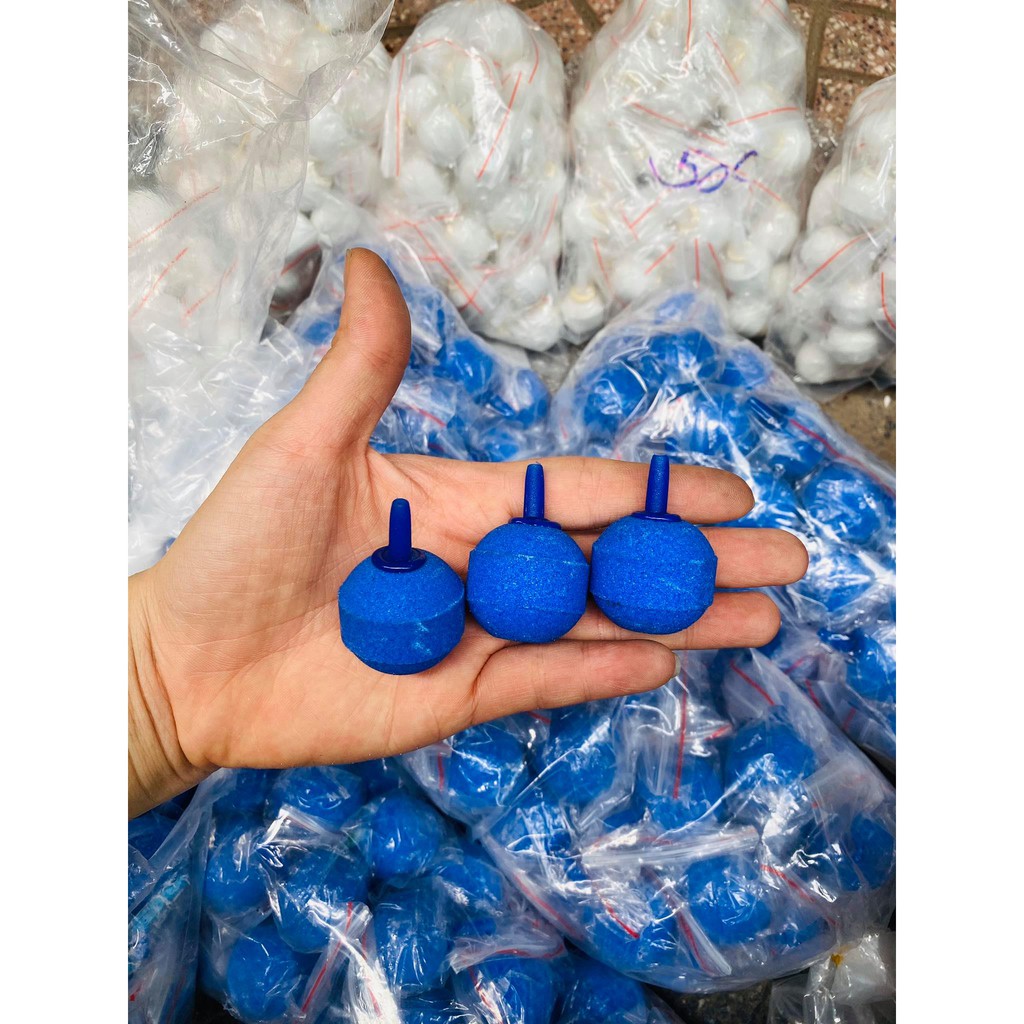 Qủa sủi nhỏ trắng - xanh