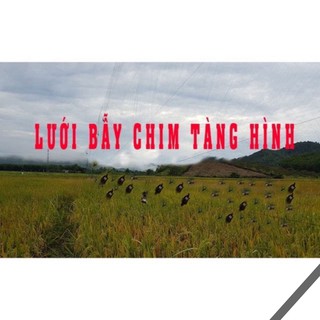 lưới bẫy chim 7cm cao 7m dài 60m bắt chim cu gáy cò + vạc v.v. các loại chim to hàng gia công