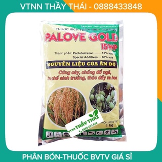 Paclo 15WP Palove ấn độ -Thuốc kích thích sinh trưởng thay thế bidamin 15WP, phân hóa mần hoa, cứng cây, chống đỗ ngã