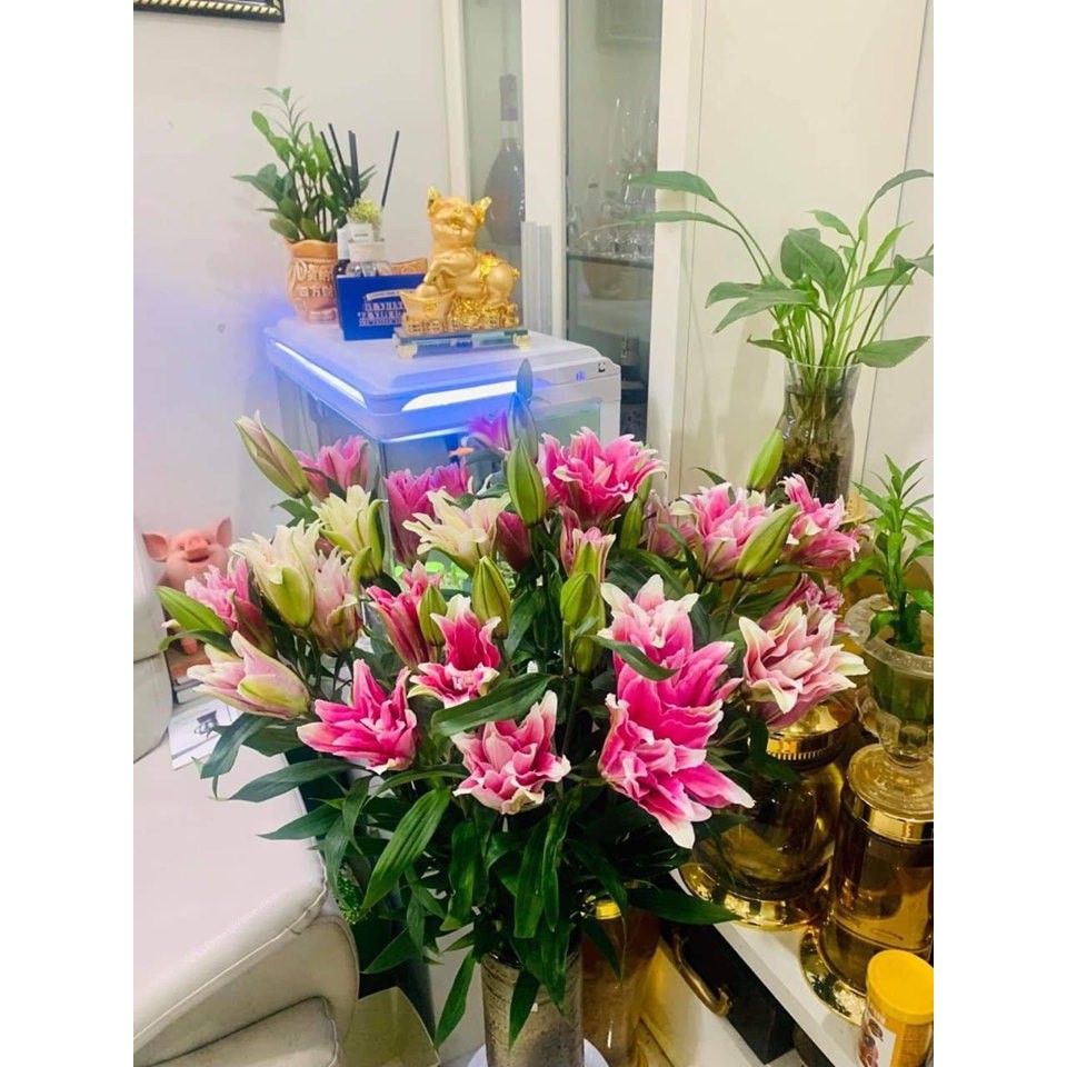 Củ hoa ly kép màu hồng