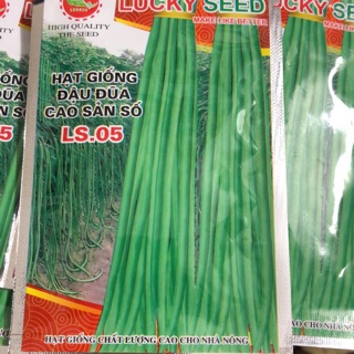 Hạt giống Đậu đũa cao sản (gói 20 gram) ☘️