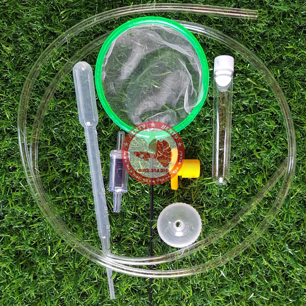 Bộ ấp artemia