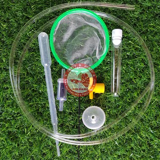 Bộ ấp artemia