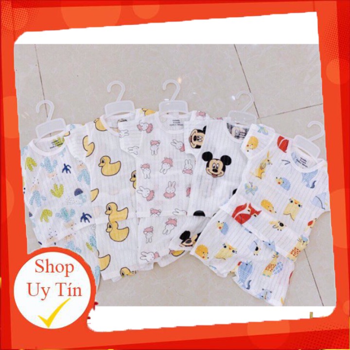 Bộ cotton giấy, cài vai, 1 bộ ( sỉ, lẻ)