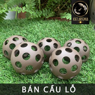 Đồ chơi tép cảnh