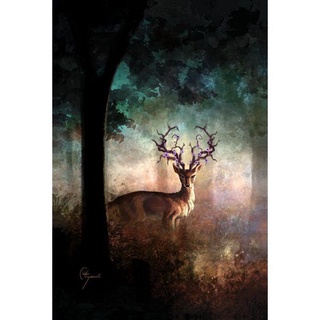Bộ bài The Lost Forest Tarot Size Thường Nifoki E4
