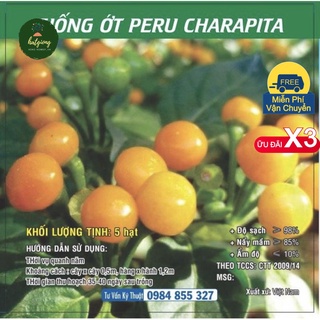 Hạt giống ớt charapita peru siêu cay