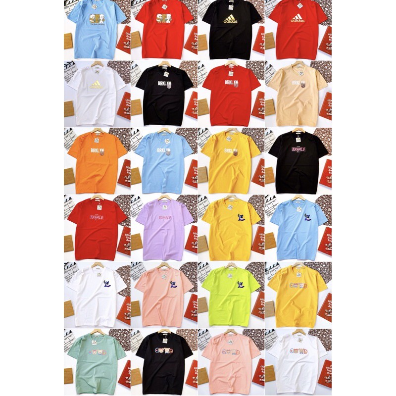 Combo 10 áo thun | BigBuy360 - bigbuy360.vn