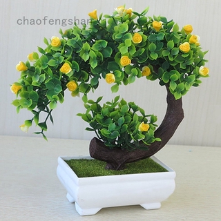 Chậu Cây Bonsai Giả Mini Trang Trí Văn Phòng