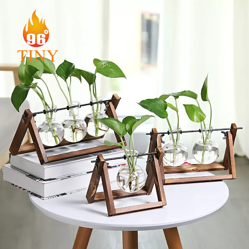 Bình hoa thủy tinh hình tròn có gắn khung gỗ để trồng cây thủy sinh, cắm hoa, trang trí bàn làm việc, văn phòng