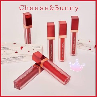 SON KEM LÌ PHYTOTREE TWENTY FOUR HOUR VELVET TINT [AUTH-NEW]