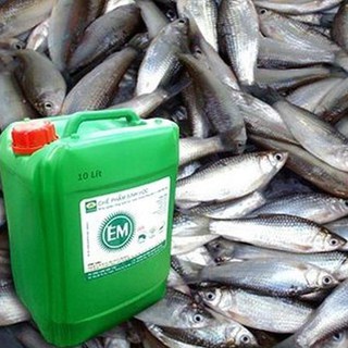 (Hàng chuẩn zin) Chế phẩm sinh học EM gốc (EM1)